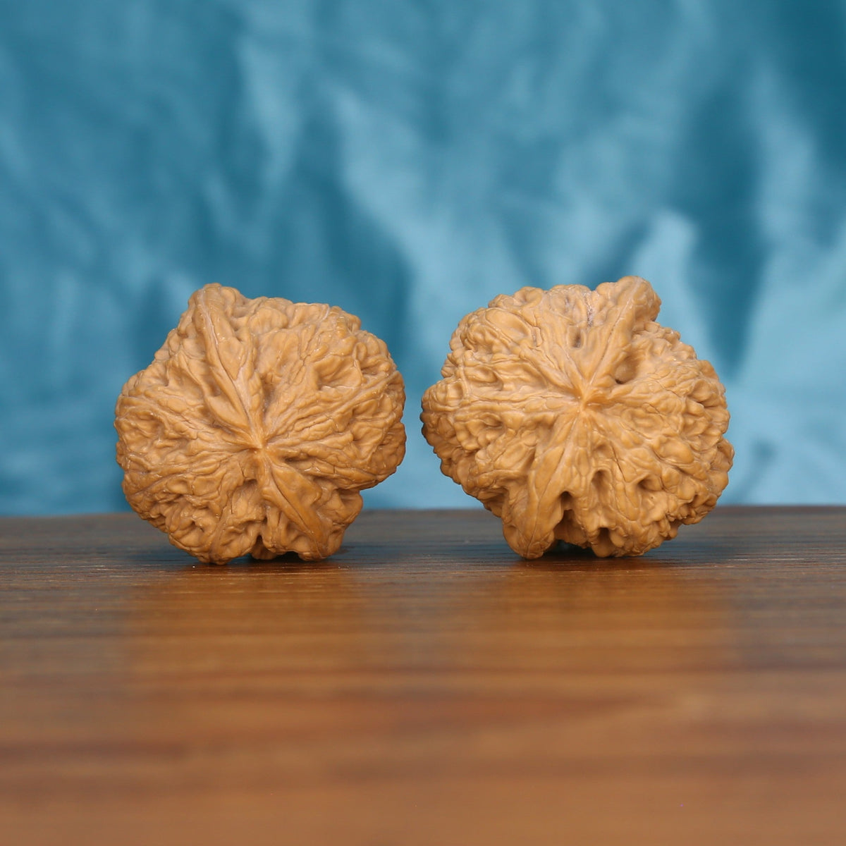 Single Da-Cu-Jin wenwan walnut bottom view on wooden surface – natural base and rugged texture detail