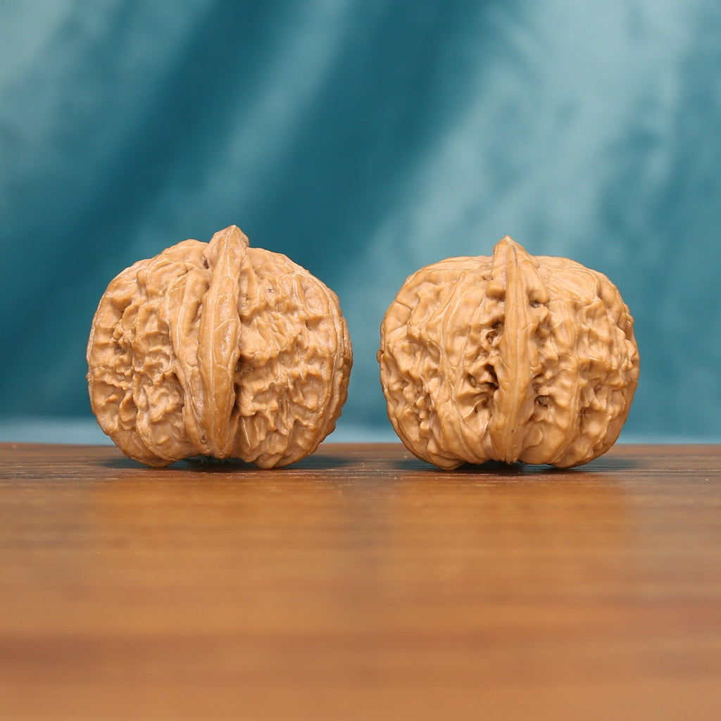 Side view of The Ivory Roar Wenwan Walnut Set showing the walnuts’ sculpted profiles and dense ridge patterns.
