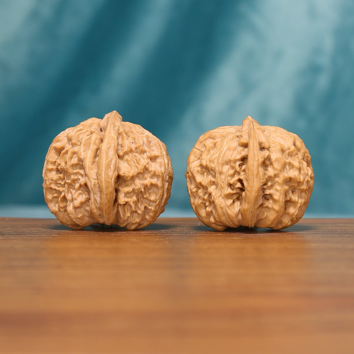 Side view of The Ivory Roar Wenwan Walnut Set showing the walnuts’ sculpted profiles and dense ridge patterns.
