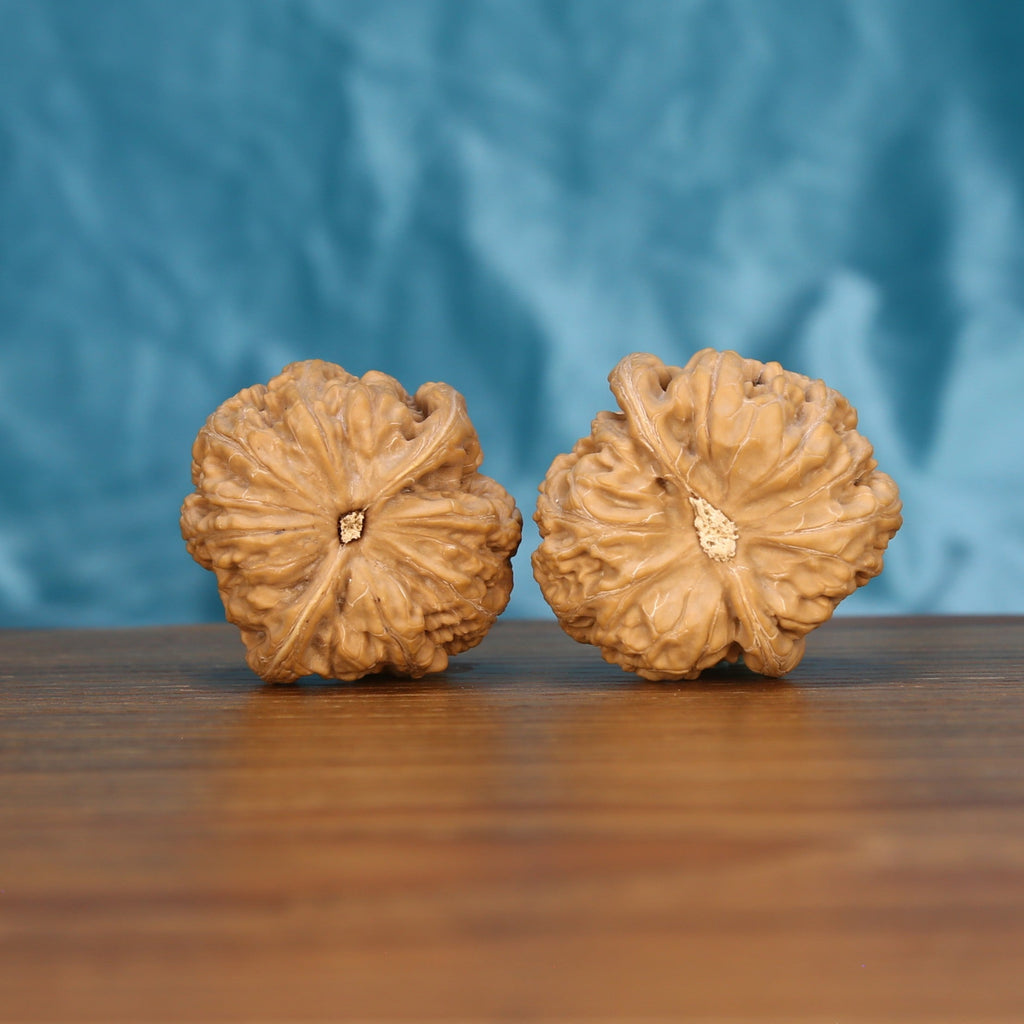  Da-Cu-Jin walnut pair bottom view on wood – natural rough-gold base pattern, Earthborn Monoliths zen premium set