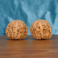 White-gloved hands presenting Ping-Gu-Yuan-Bao walnut pair, showcasing wealth-curve natural ridge texture