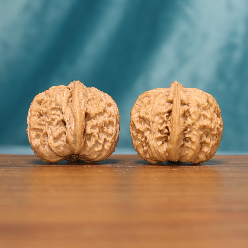 Rear view of The Ivory Roar Wenwan Walnut Set displaying the walnuts’ rounded surfaces and intricate texture.
