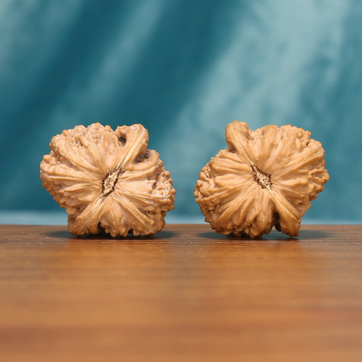 Close rear view of The Ivory Roar Wenwan Walnut Set highlighting the walnuts’ sculpted surfaces and natural ridge detail.
