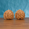 Mai-Sui Hu-Tou walnut pair front view – golden wheat ridge silhouette and full-handed grip