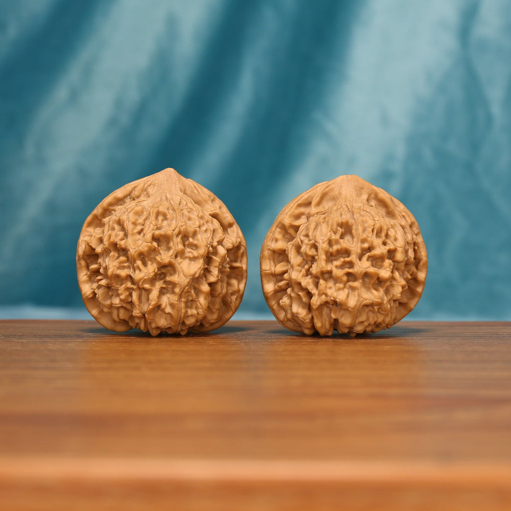 Angled front view of The Scholar's Cap Wenwan walnuts highlighting their broad forms and intricate natural texture.
