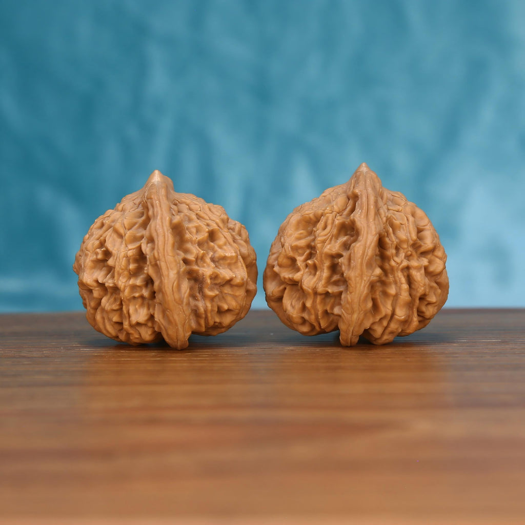 Golden Harvest Crest walnut duo on wooden surface – 42mm+ commanding botanical stress relief tool
