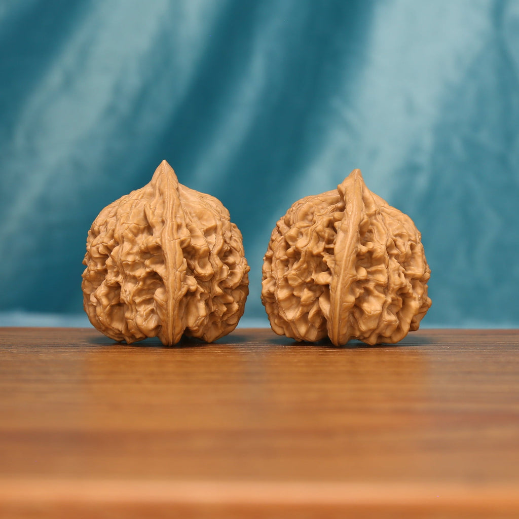 Side view of The Scholar's Cap Wenwan Walnut Set showing the walnuts’ capped profiles and dense ridge patterns.
