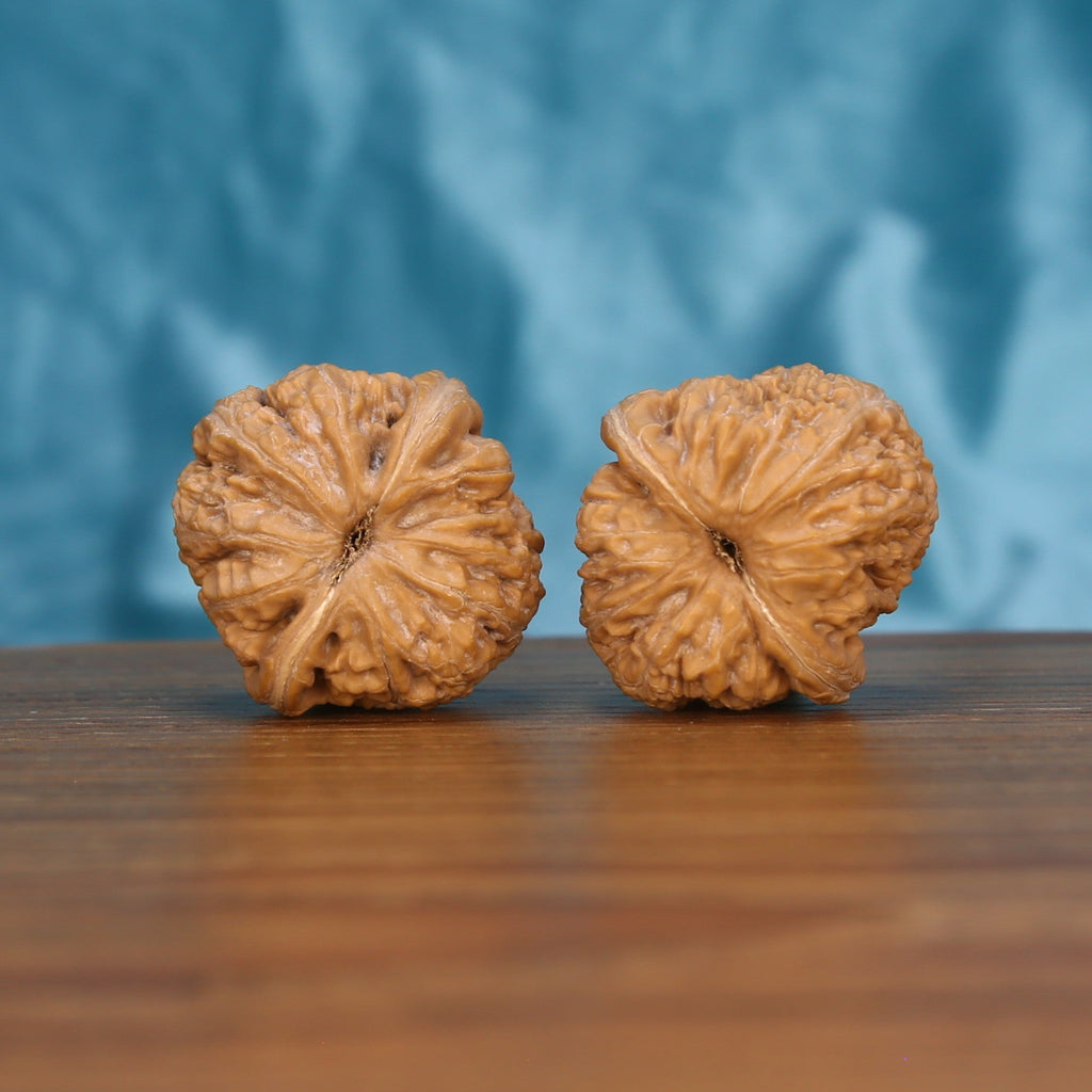 Ping-Gu-Yuan-Bao walnut pair bottom view on wood – natural yuan-bao base pattern, Wealth-Curve Spheres premium set
