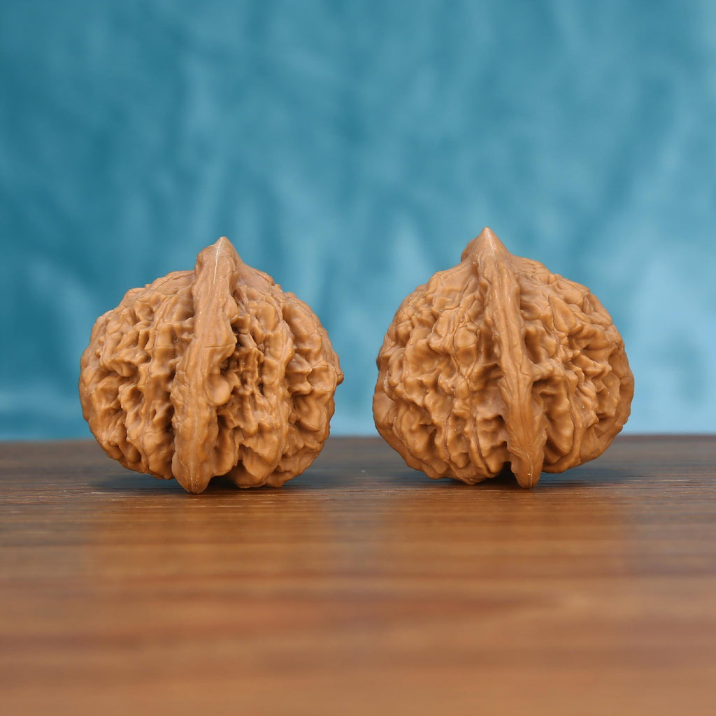 W7577 Mai-Sui Hu-Tou walnut set side profile – raw Wabi-Sabi surface and deep structured ridges