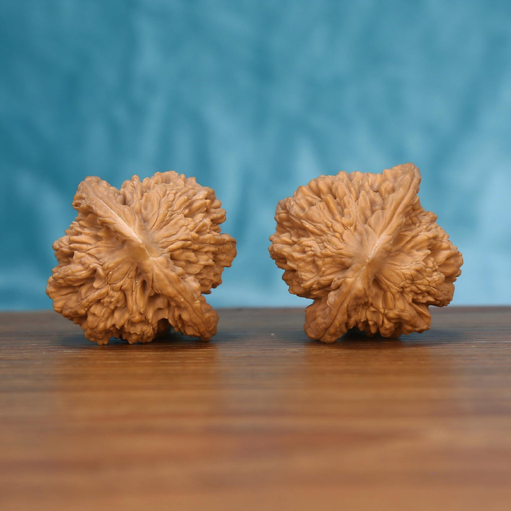 Mai-Sui Hu-Tou walnut spheres – high-frequency sensory massage and flawless 1:1 balance by mistbodhi