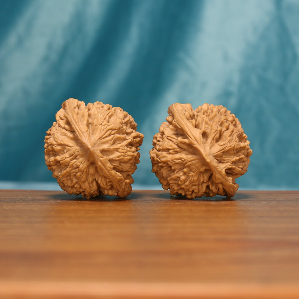 Rear view of The Scholar's Cap Wenwan Walnut Set displaying the walnuts’ rounded forms and crown-like texture.
