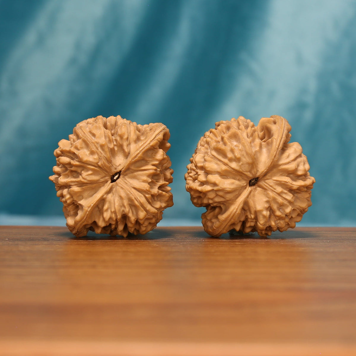 Bottom view of The Scholar's Cap Wenwan walnuts showing their textured bases and distinctive radial ridges.
