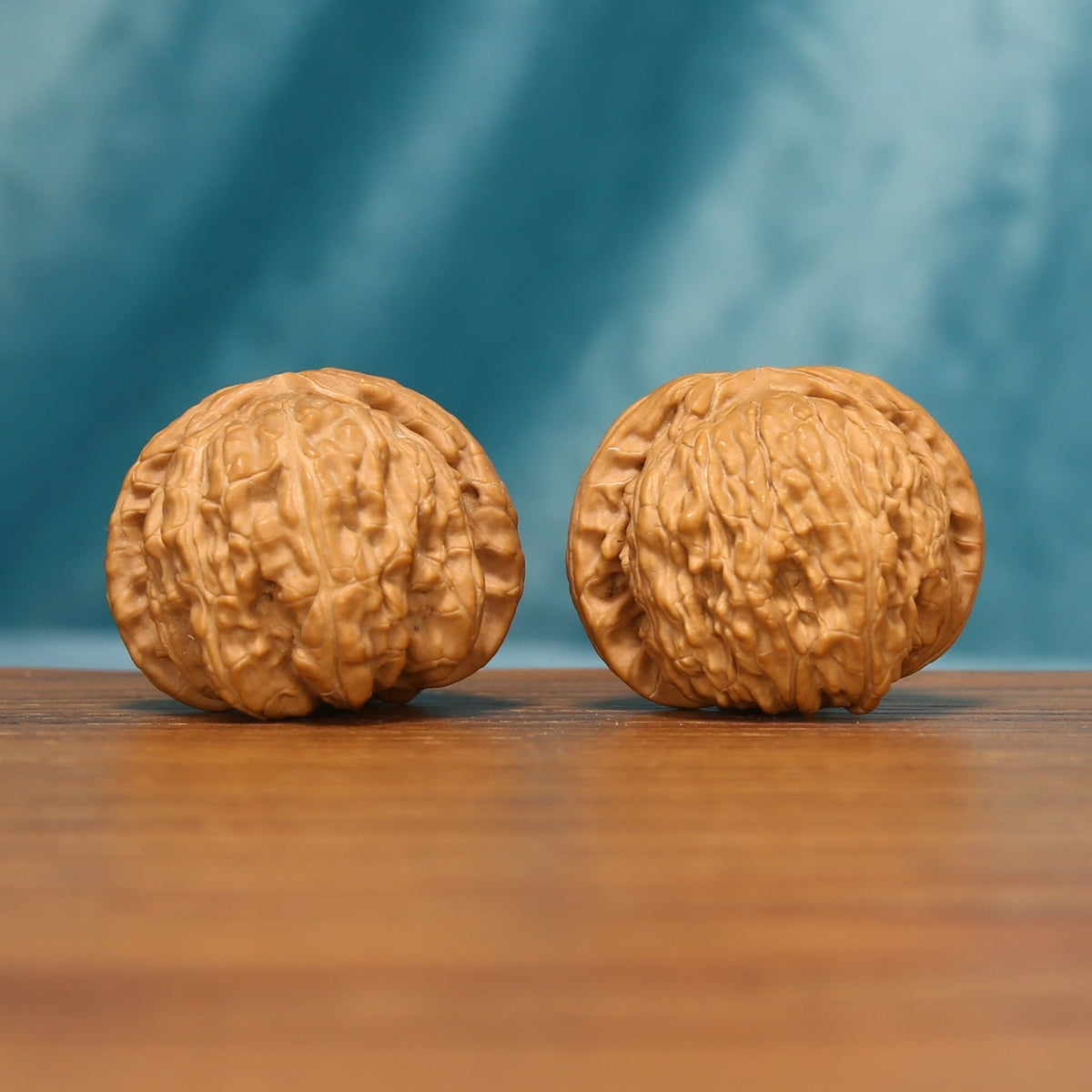 Front view of two White Lion Head Wenwan walnuts with rounded forms and dense natural ridges.
