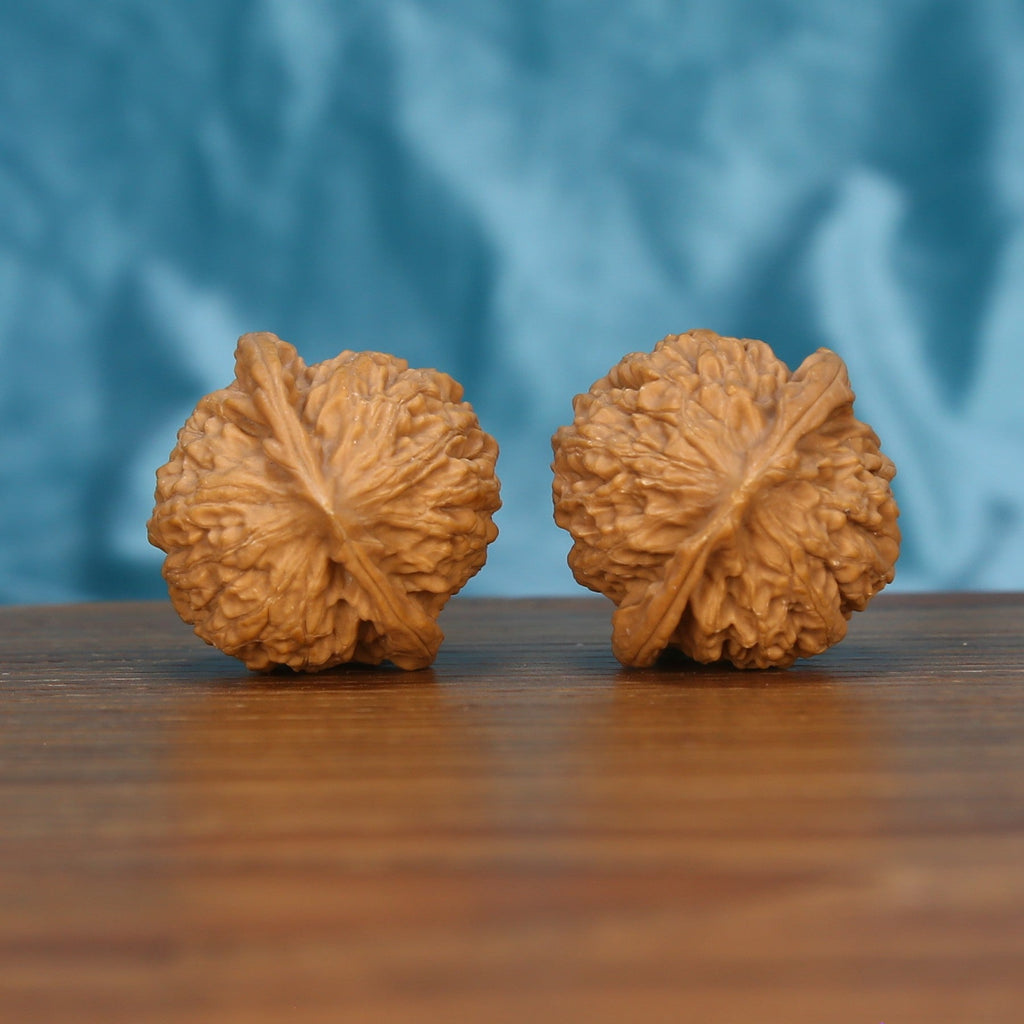 Single Xiao-Jin-Niu wenwan walnut bottom view on wooden surface – natural base and untamed ridge texture detail