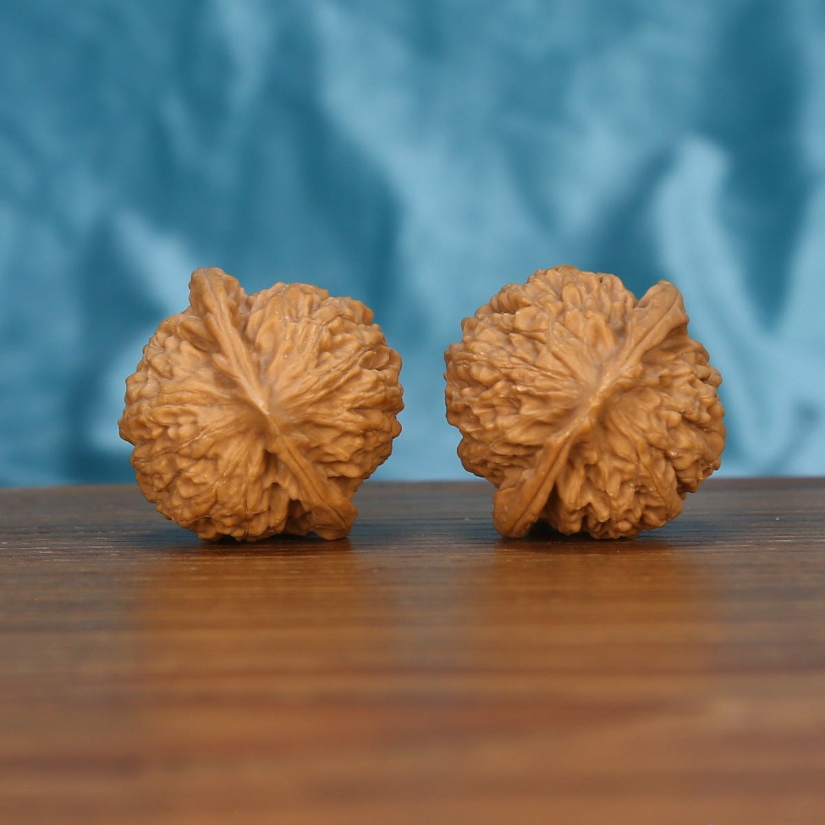 Single Xiao-Jin-Niu wenwan walnut bottom view on wooden surface – natural base and untamed ridge texture detail