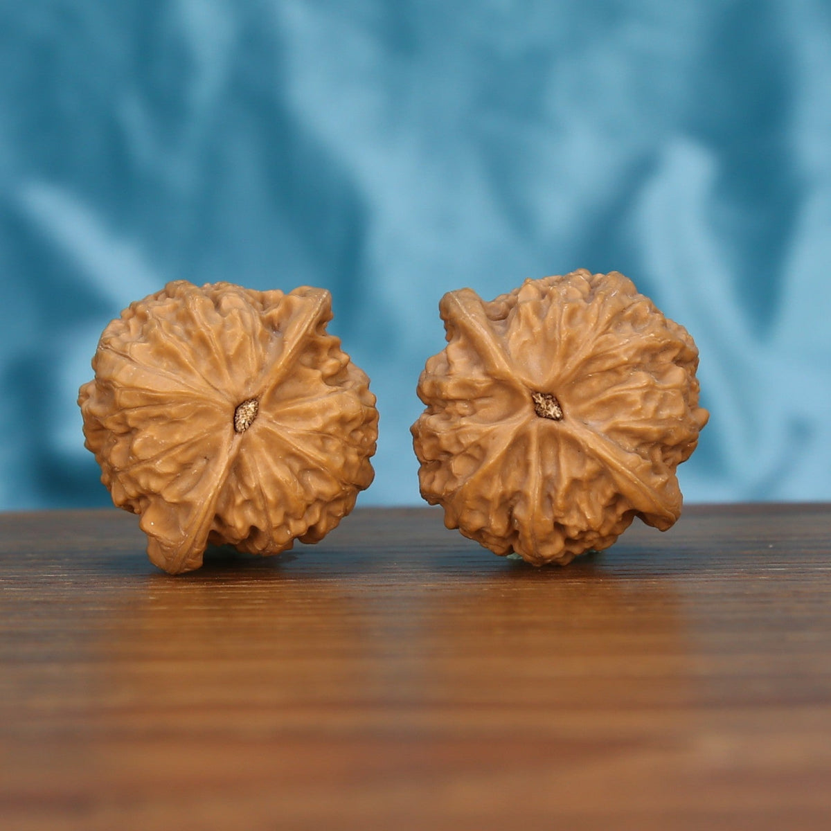 Xiao-Jin-Niu walnut pair bottom view on wood – natural golden bull base pattern, Untamed Ridges premium set