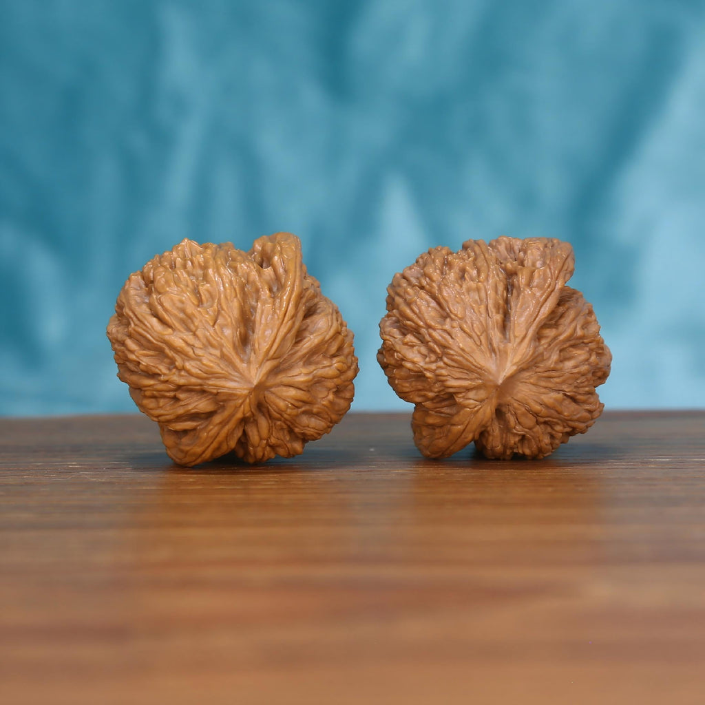 Single Wu-Ming wenwan walnut bottom view on wooden surface – natural base and nameless texture detail