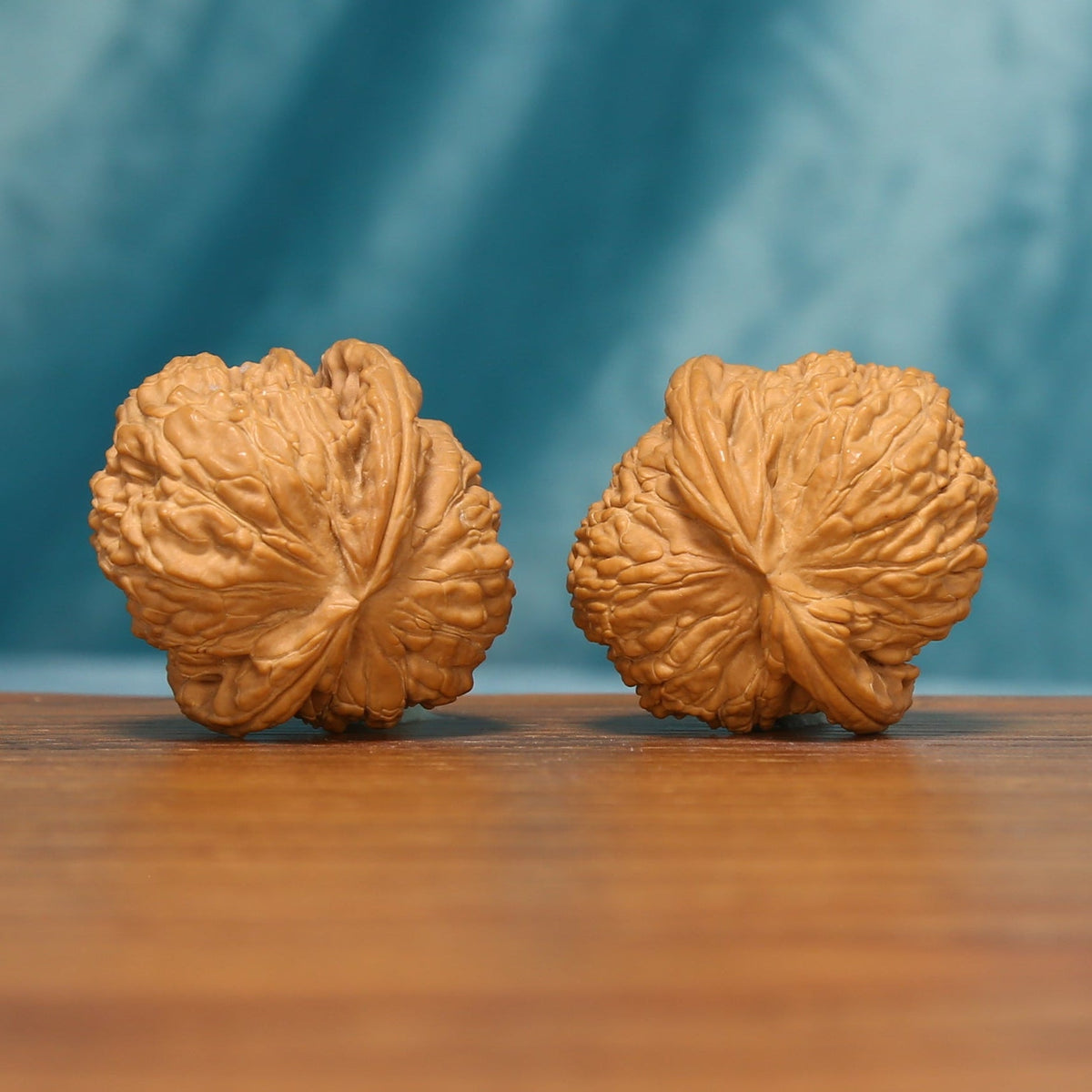 Rear view of the White Lion Head Wenwan walnuts displaying their rounded forms and compact textured bases.

