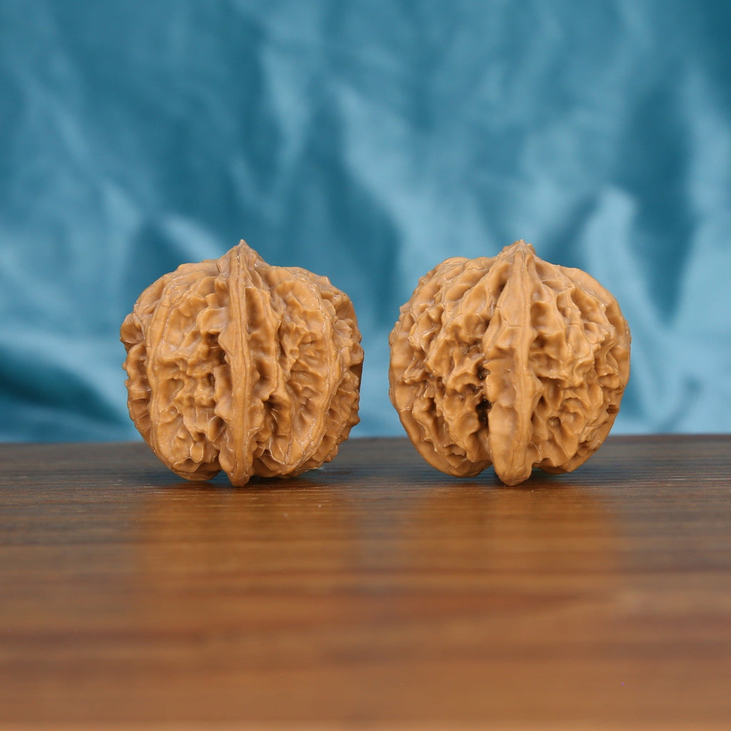 Single Ping-Guo-Yuan wenwan walnut on wooden surface, blue background – smooth round natural texture