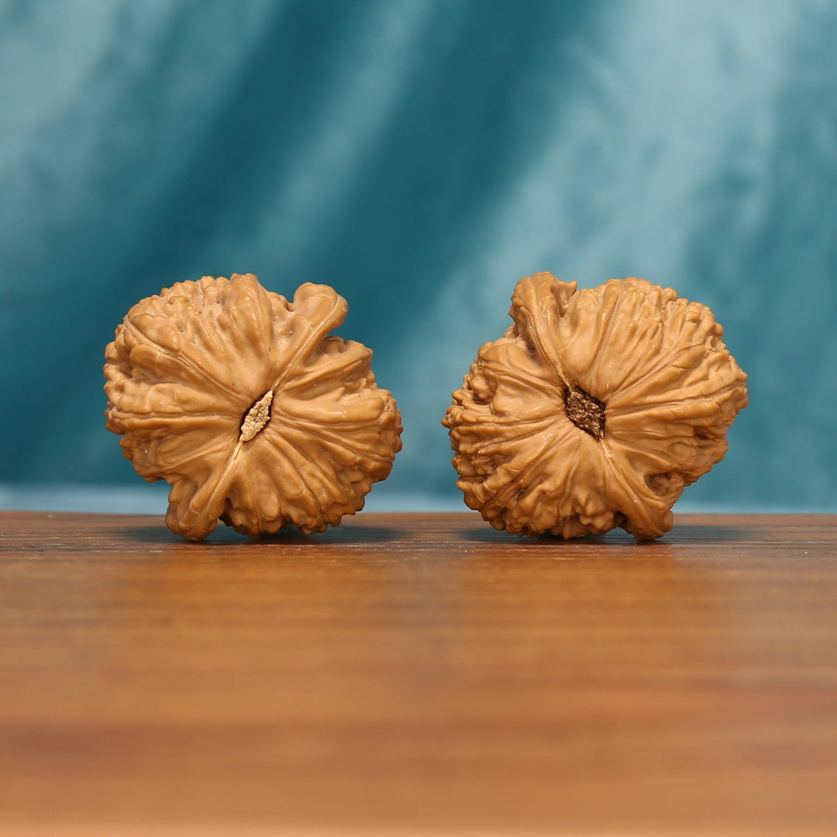 Bottom view of the White Lion Head Wenwan Walnut Set showing distinctive radial ridges and textured bases.
