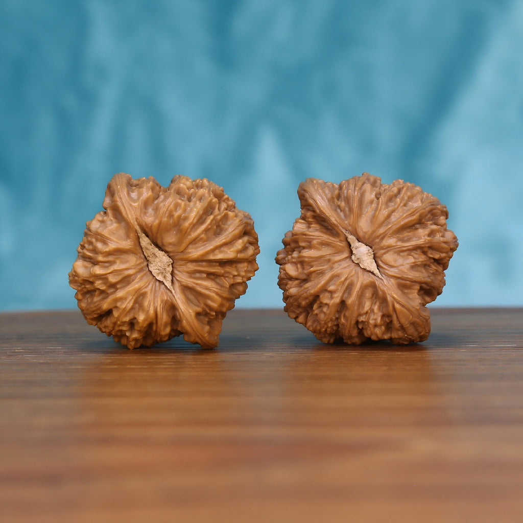 Wu-Ming walnut pair bottom view on wood – natural nameless base pattern, Mountain Echo premium set
