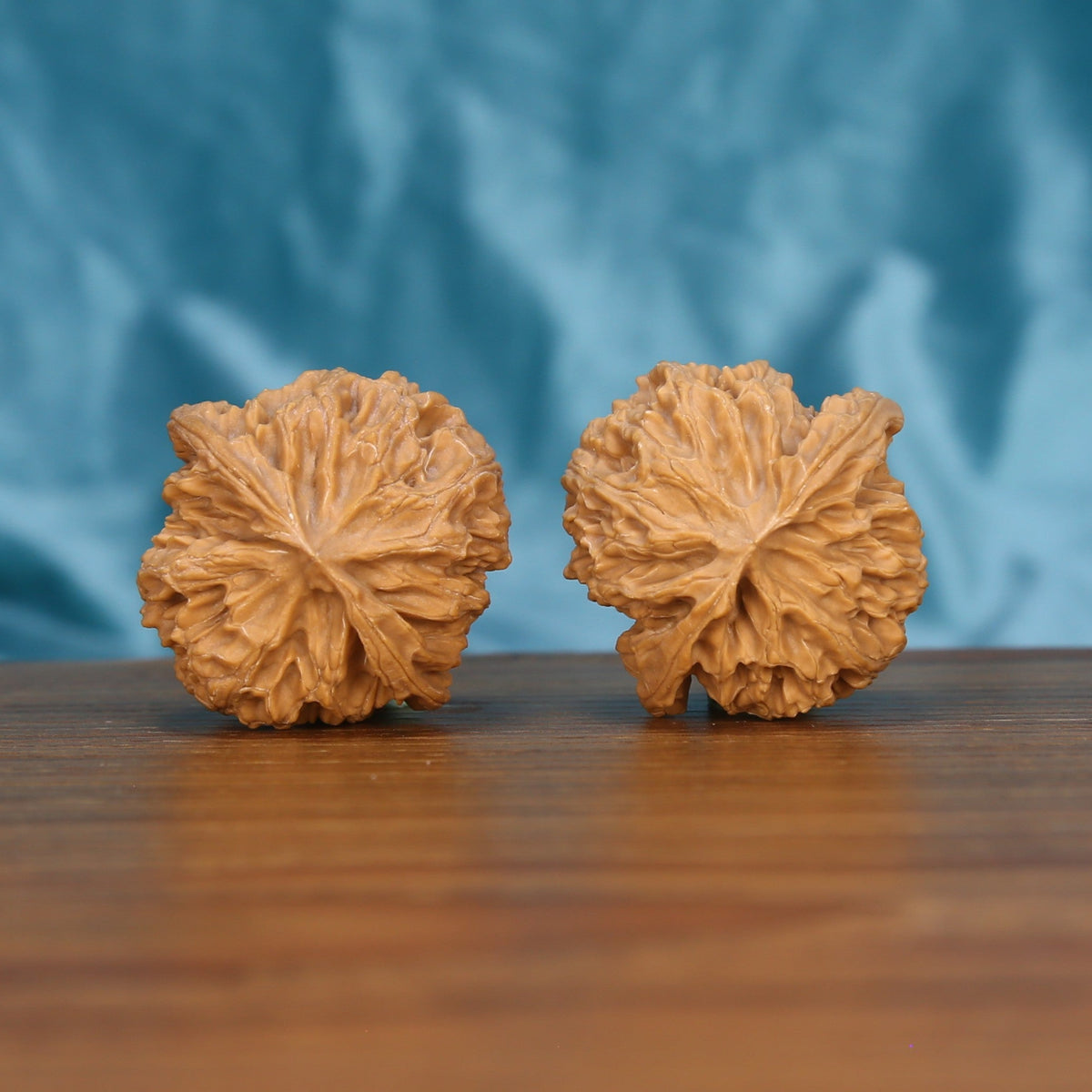 Single Ping-Guo-Yuan wenwan walnut bottom view on wooden surface – natural base and round texture detail