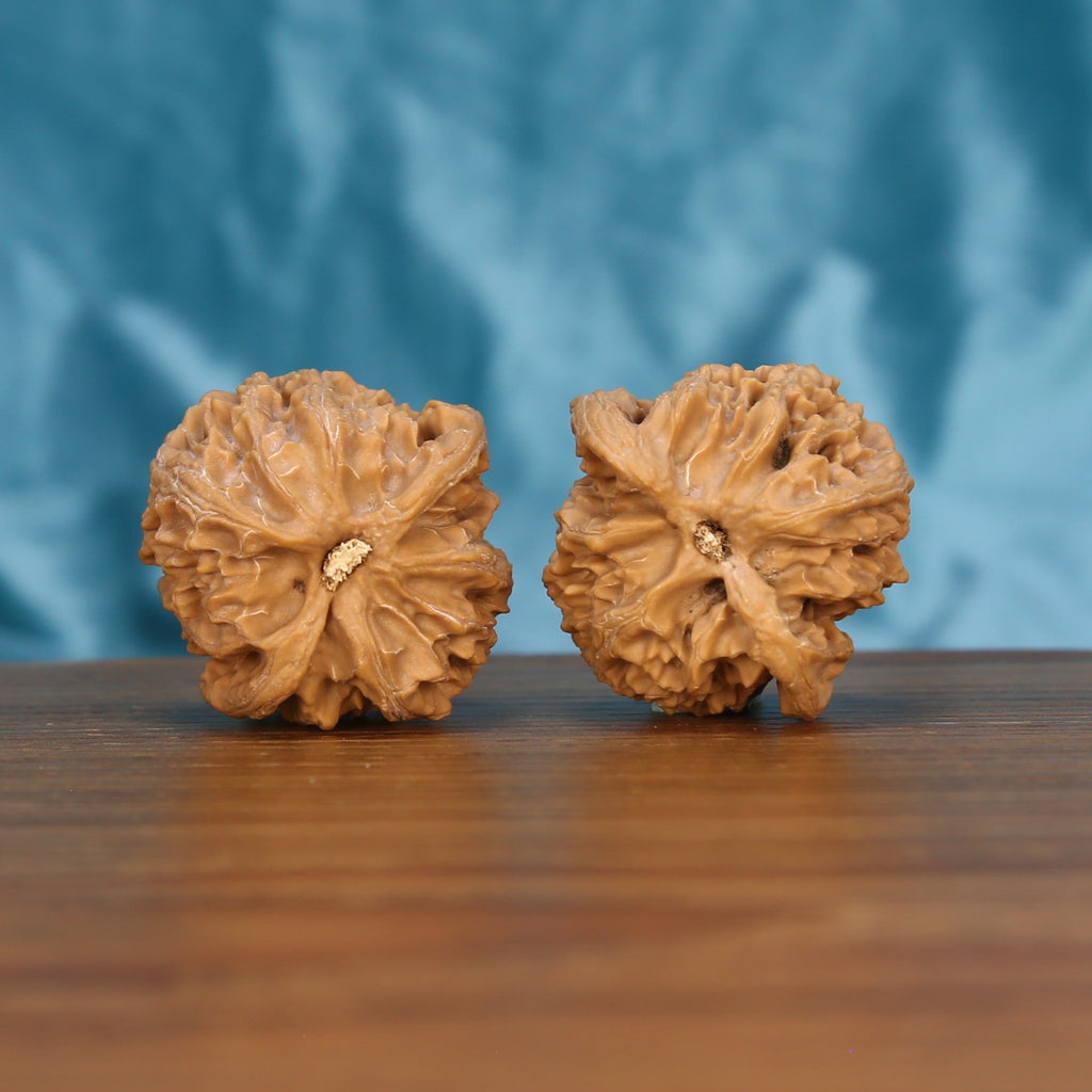 Ping-Guo-Yuan walnut pair bottom view on wood – natural apple-round base pattern, Pure Equilibrium premium set