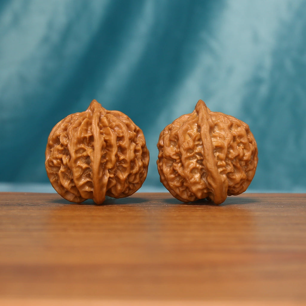 Close view of the Apple Orchard Wenwan walnut pair highlighting the deep natural ridges
