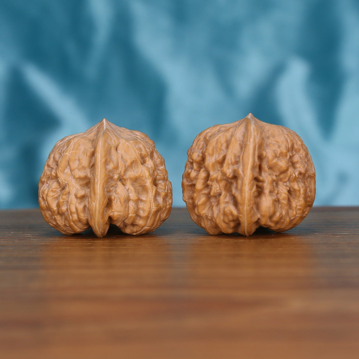 Single Ping-Gu-Ao-Di wenwan walnut on wooden surface, blue background – concave center natural texture
