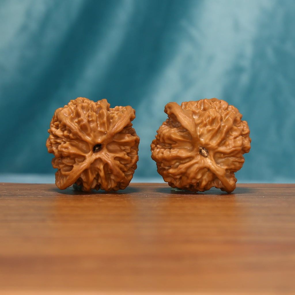 Bottom view of the Apple Orchard Wenwan walnut pair showing the natural star-like contours
