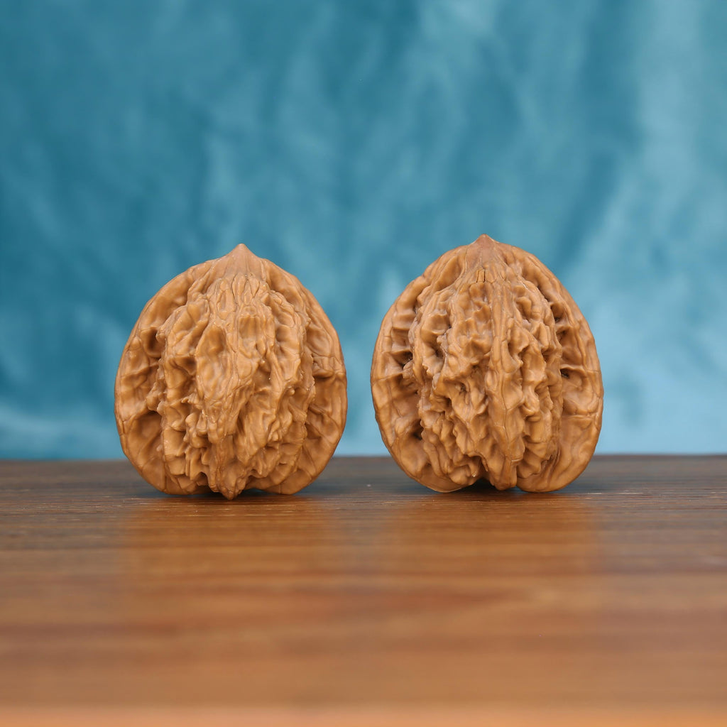 W7573 Golden Ridge walnut duo on wooden surface – 28g dense botanical stress relief artifacts