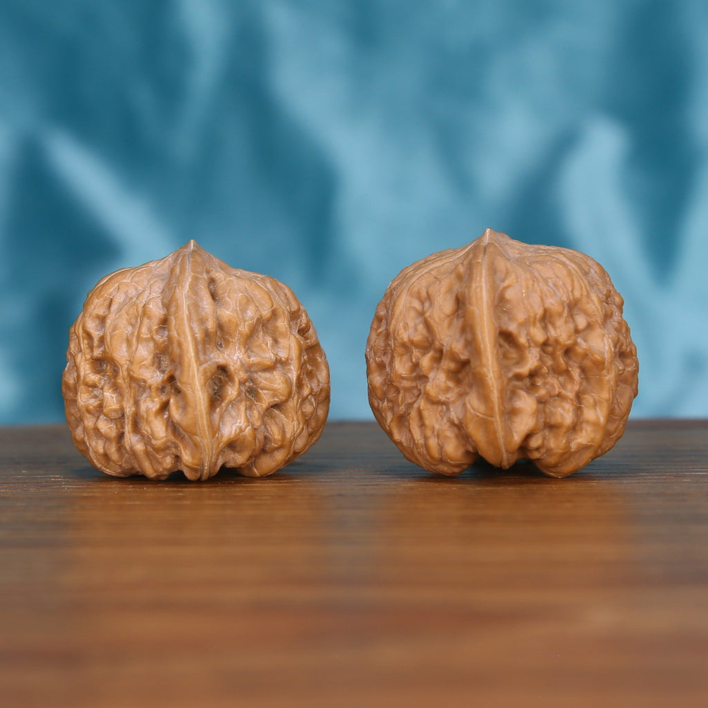 Ping-Gu-Ao-Di wenwan walnut pair alternate angle, blue background – symmetrical sunken ridge pattern