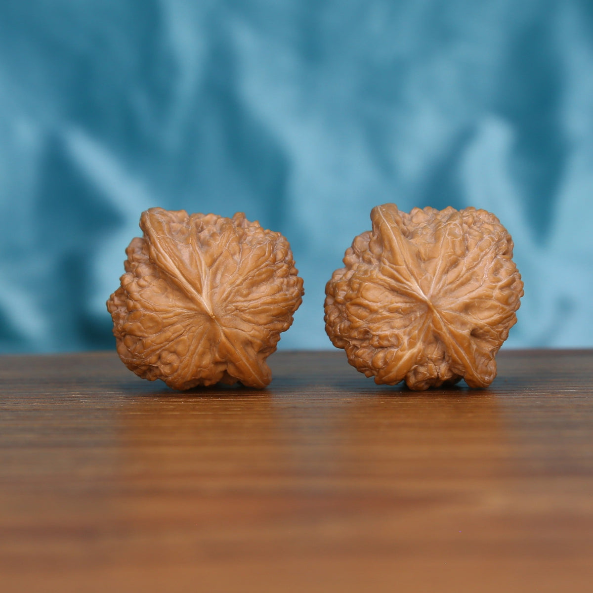 Single Ping-Gu-Ao-Di wenwan walnut bottom view on wooden surface – natural base and concave texture detail