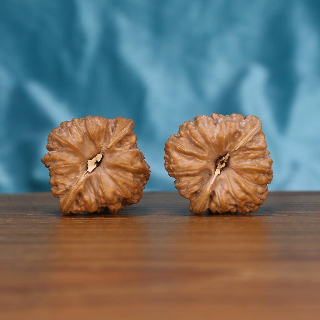 Ping-Gu-Ao-Di walnut pair bottom view on wood – natural sunken base pattern, Sunken Center Spheres premium set