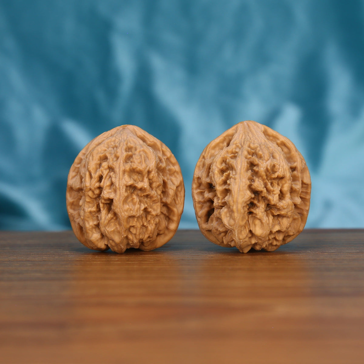 Da-Cu-Jin walnut set side profile on wood, blue background – rugged monolith grain detail