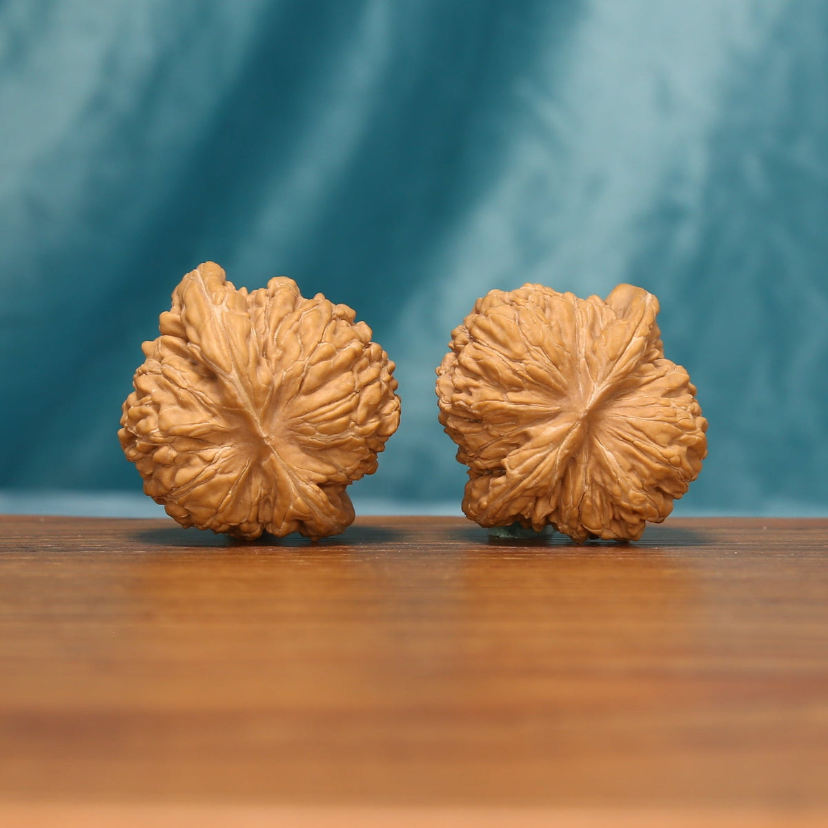 Rear view of a Huakun Dragon Wenwan walnut pair showing the natural ridge structure
