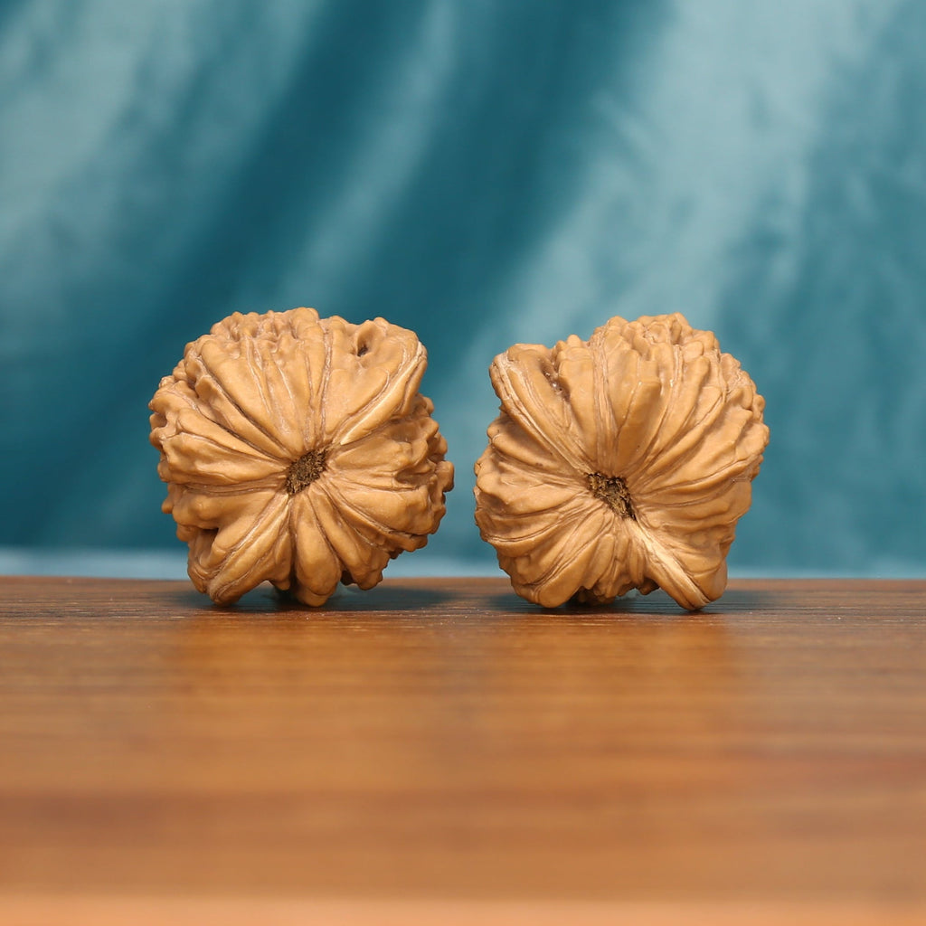 Bottom view of the Huakun Dragon Wenwan walnut pair showing the carved star-like contours
