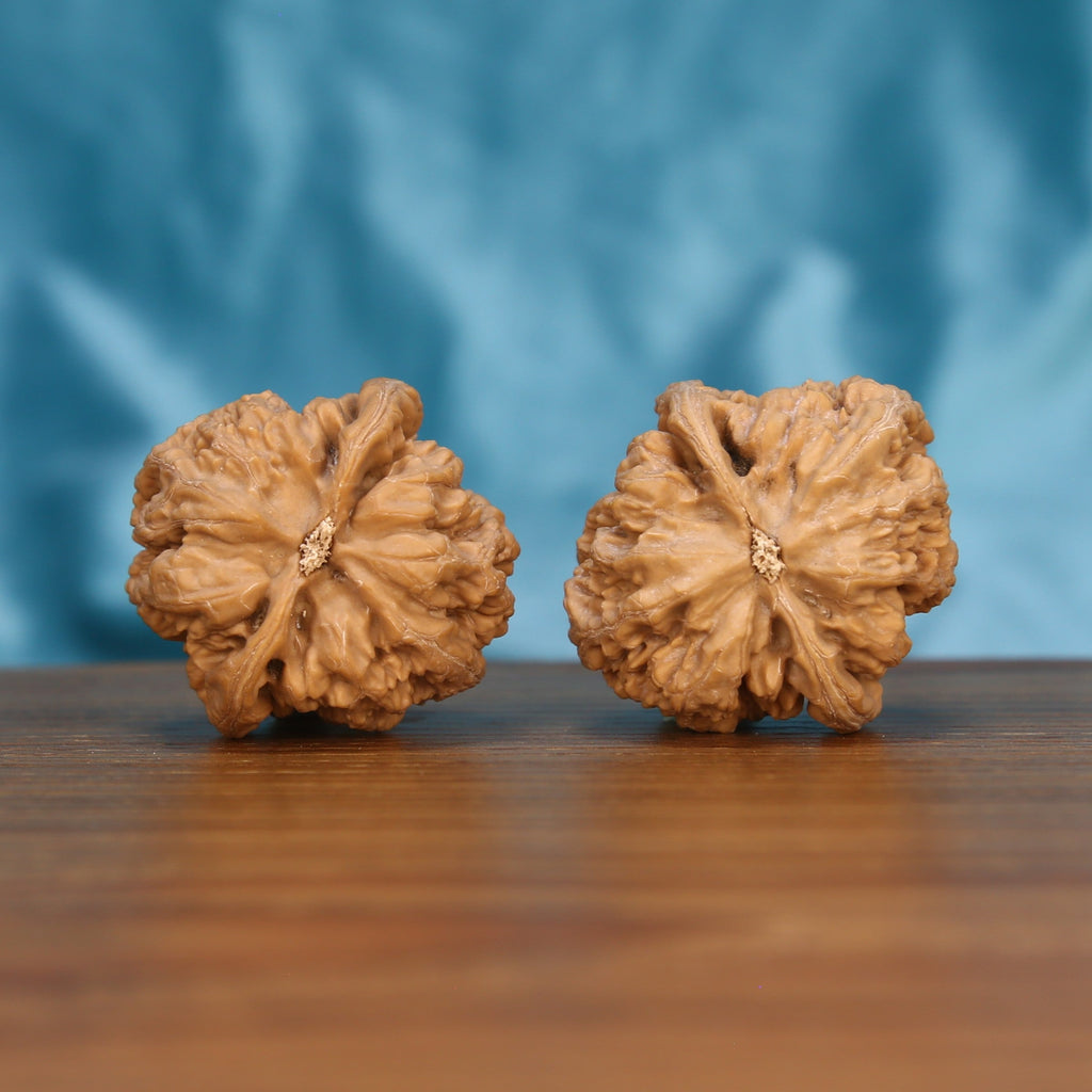 Da-Cu-Jin walnut pair bottom view on wood – natural rough-gold base pattern, Earthborn Monoliths zen premium set