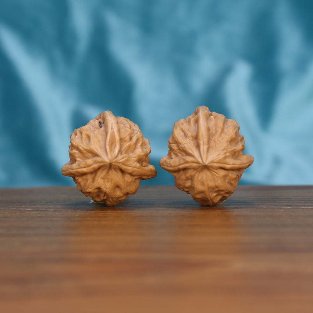 Two Qi-Da-Hai San-Leng wenwan walnuts on wooden surface, blue fabric background – matching trifold geometry set