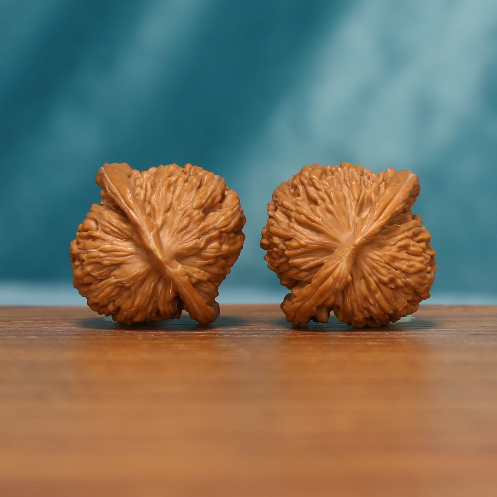 Rear view of a Shanxi Han Gaolou Wenwan walnut pair with symmetrical ridge patterns
