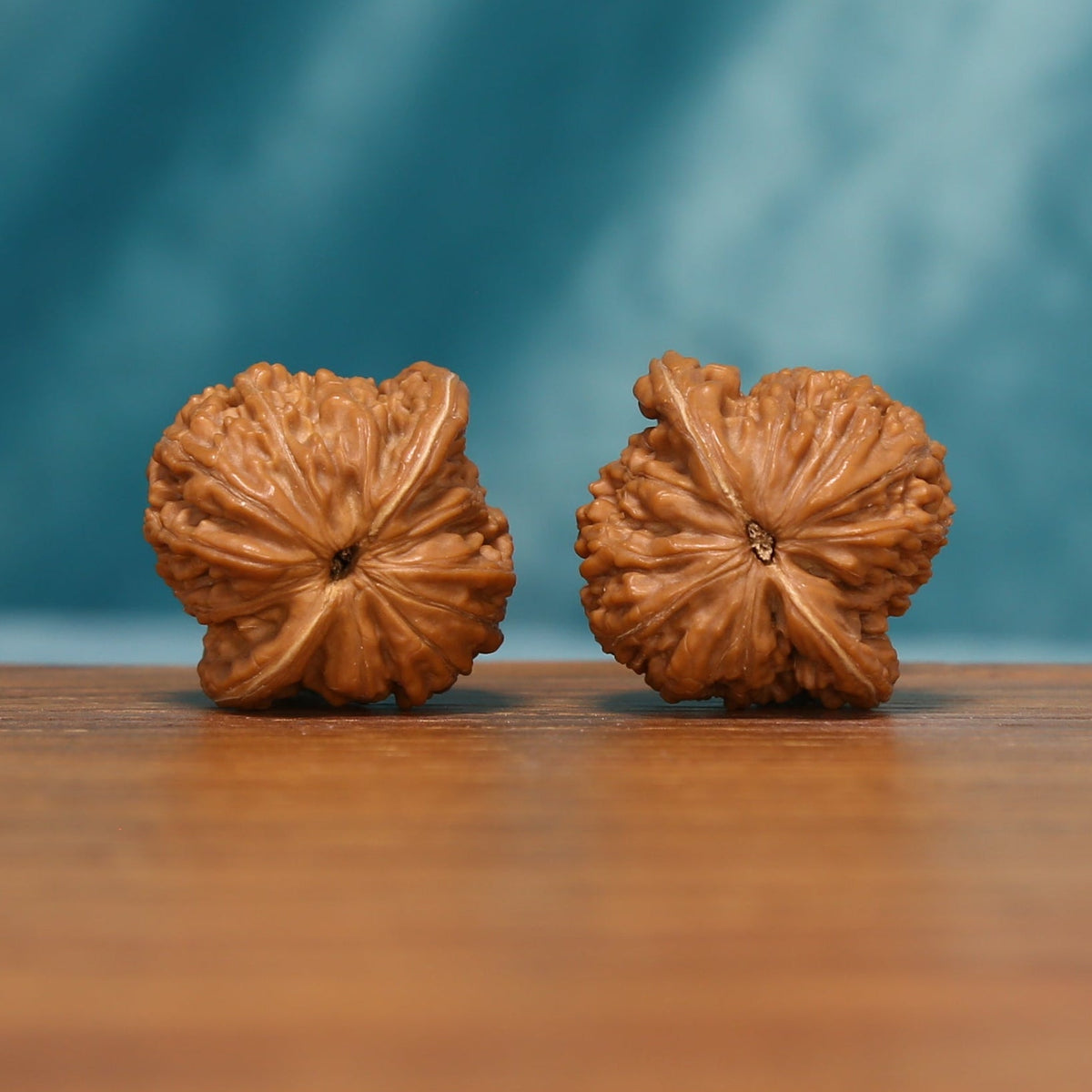Bottom view of the Shanxi Han Gaolou Wenwan walnut pair showing the natural carved contours
