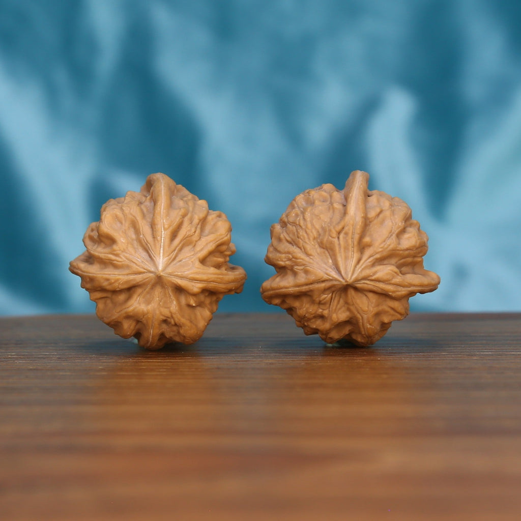 Wu-Dao-San-Leng wenwan walnut pair alternate angle, blue background – symmetrical astral constellation ridge pattern