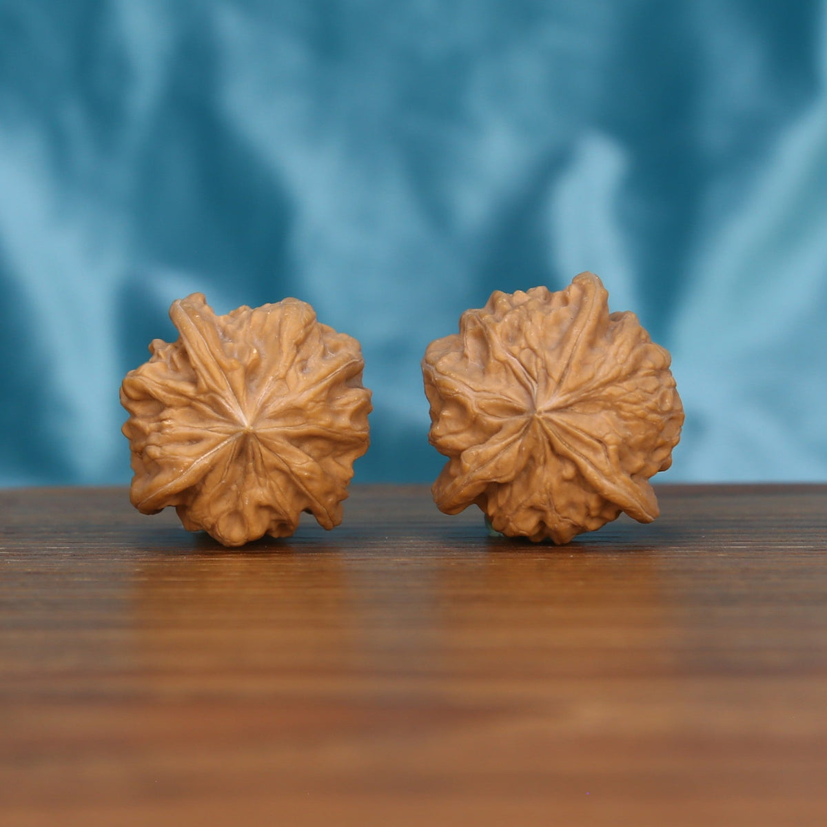  Single Wu-Dao-San-Leng wenwan walnut bottom view on wooden surface – natural base and constellation texture detail