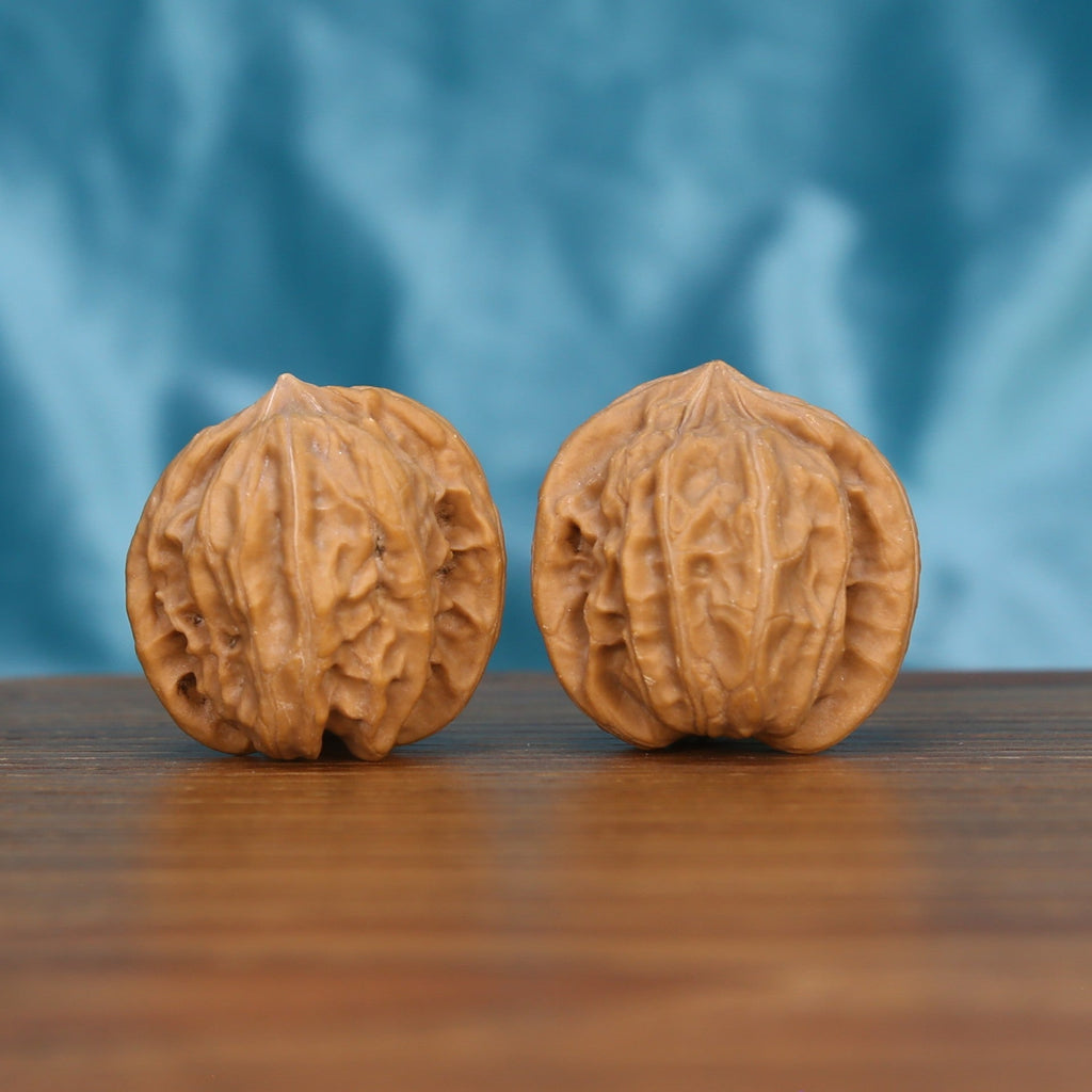 Two Wu-Dao-San-Leng wenwan walnuts on wooden surface, blue fabric background – matching astral constellation set