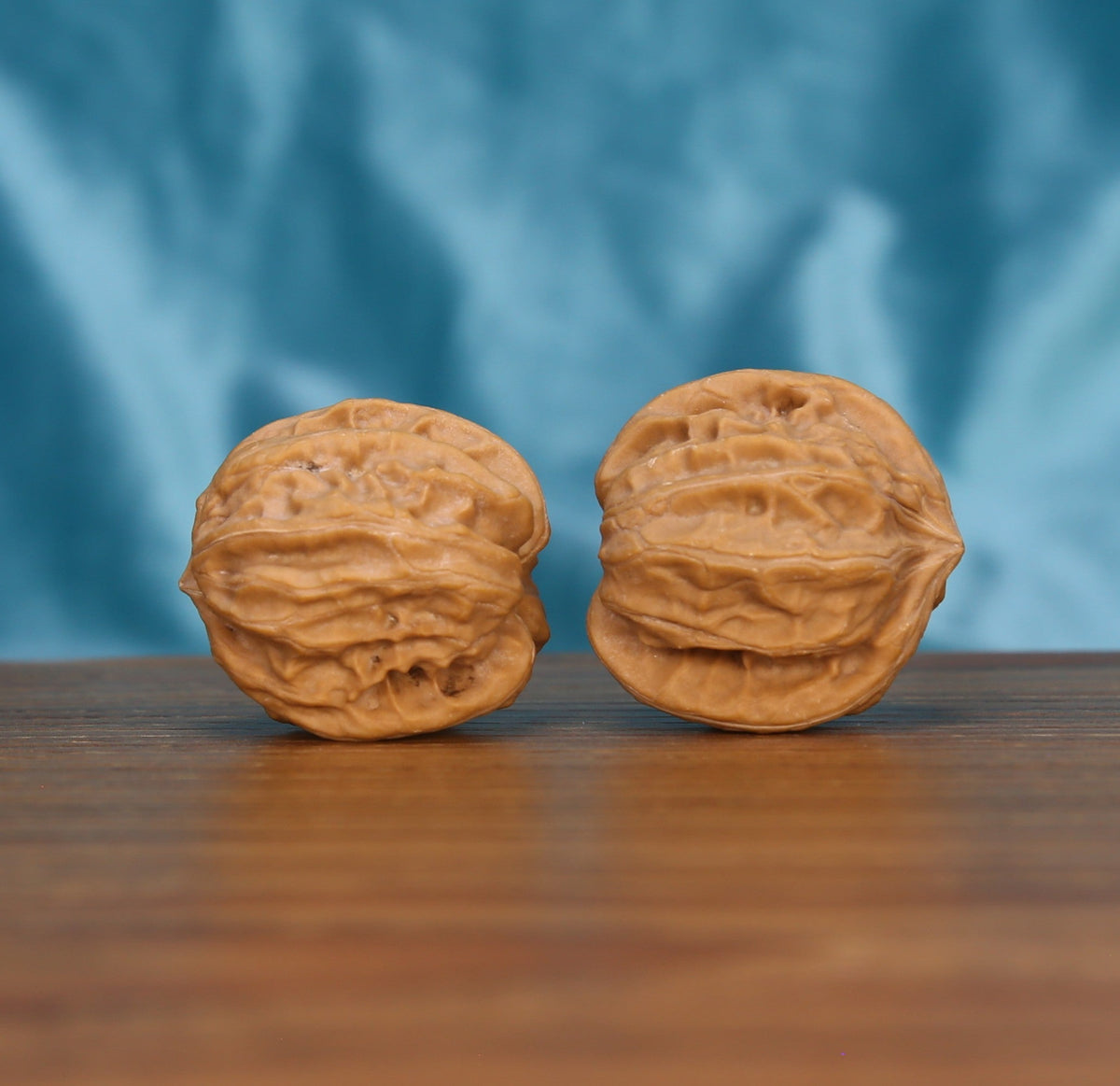  Single Wu-Dao-San-Leng wenwan walnut on wooden surface, blue background – bold astral constellation natural texture