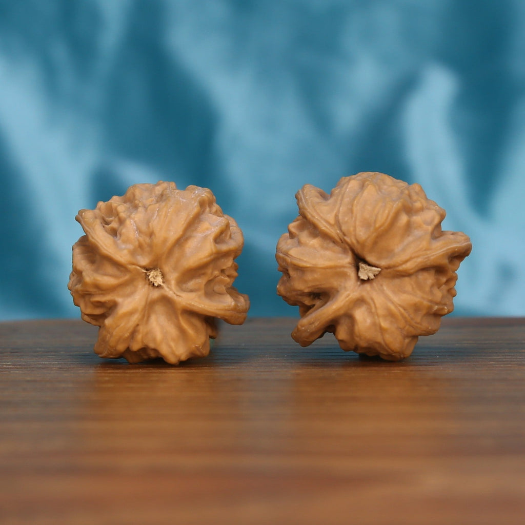  Wu-Dao-San-Leng walnut pair bottom view on wood – natural five-path base pattern, Astral Constellation premium set