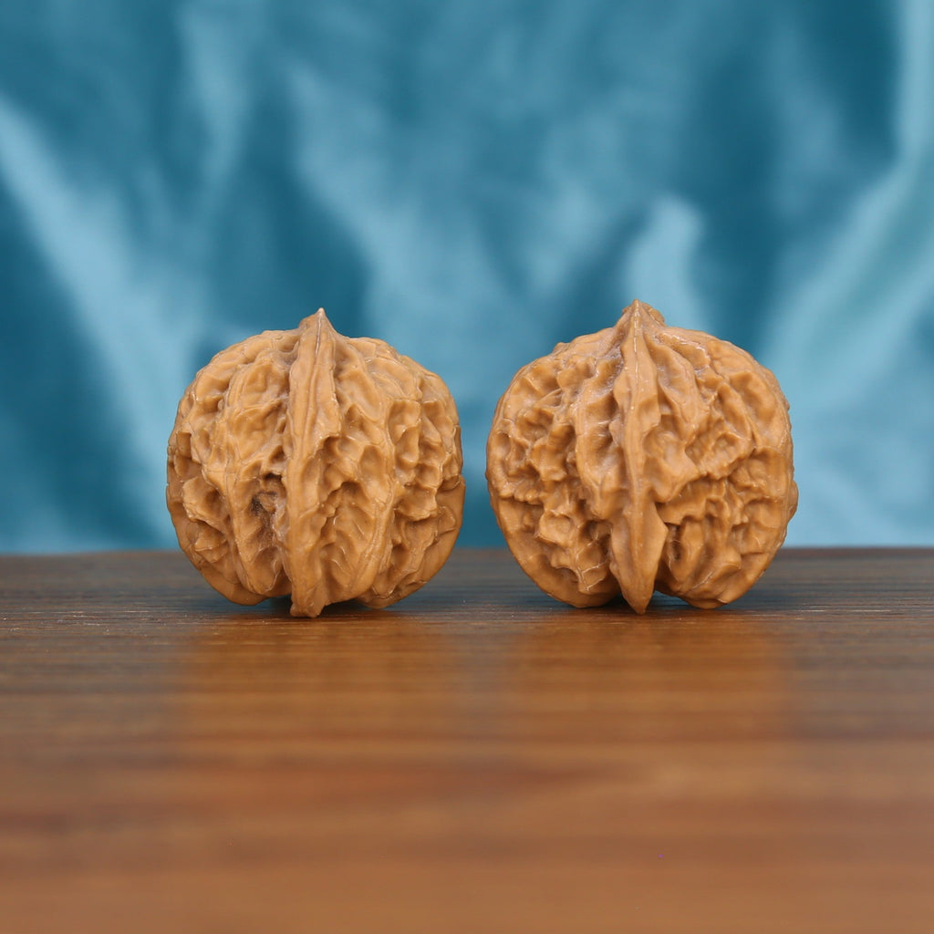 Single Ping-Guo-Yuan wenwan walnut on wooden surface, blue background – smooth round natural texture
