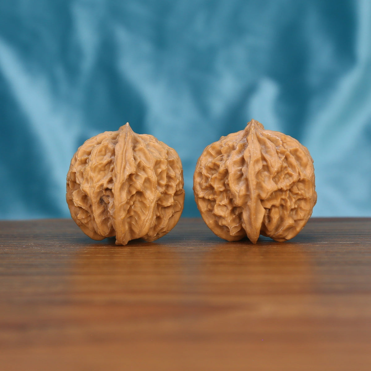 Single Ping-Guo-Yuan wenwan walnut on wooden surface, blue background – smooth round natural texture