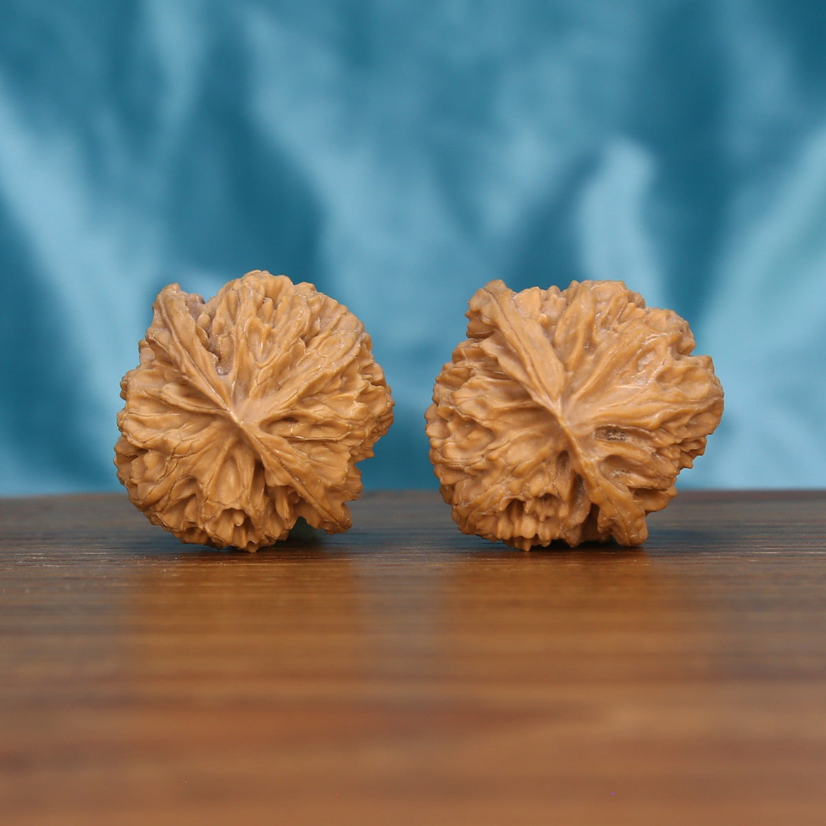 Single Ping-Guo-Yuan wenwan walnut bottom view on wooden surface – natural base and round texture detail