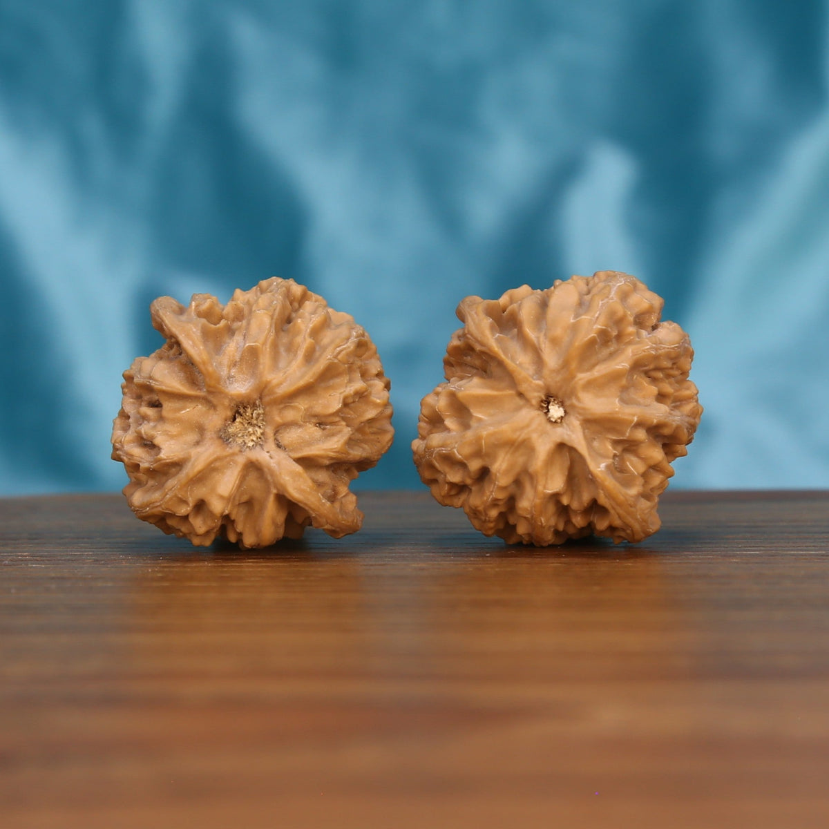 Ping-Guo-Yuan walnut pair bottom view on wood – natural apple-round base pattern, Balanced Solitude premium set

